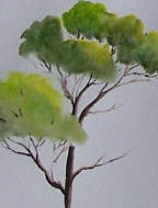 tree drawn and painted with ink